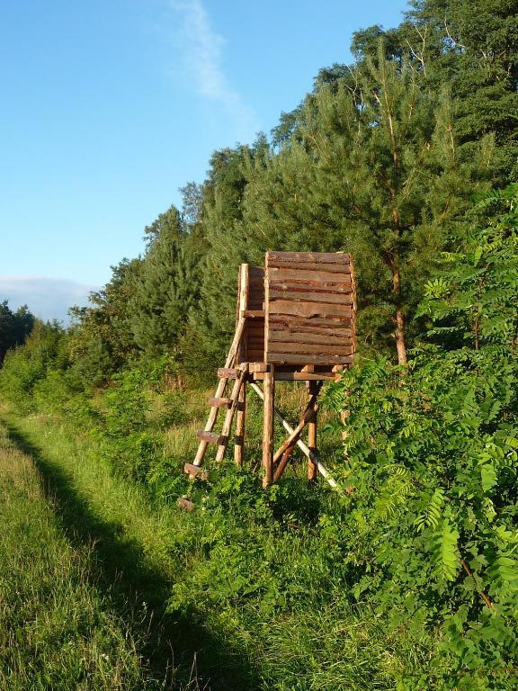 Gospodarstwo Agroturystyczne Lesniczowka Lubin  Exteriör bild